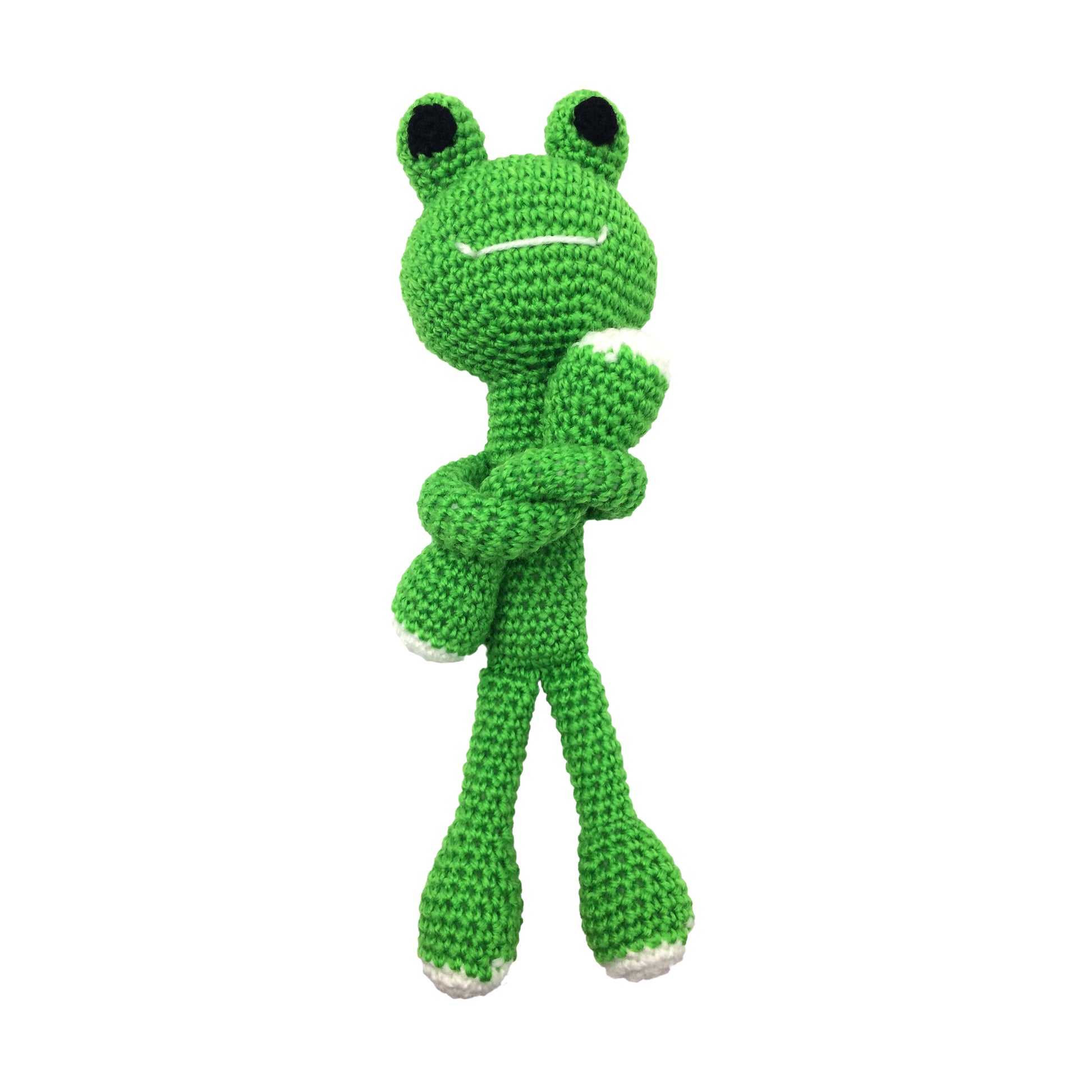 Frog animal kit