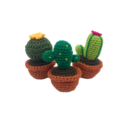 cactus animal kit