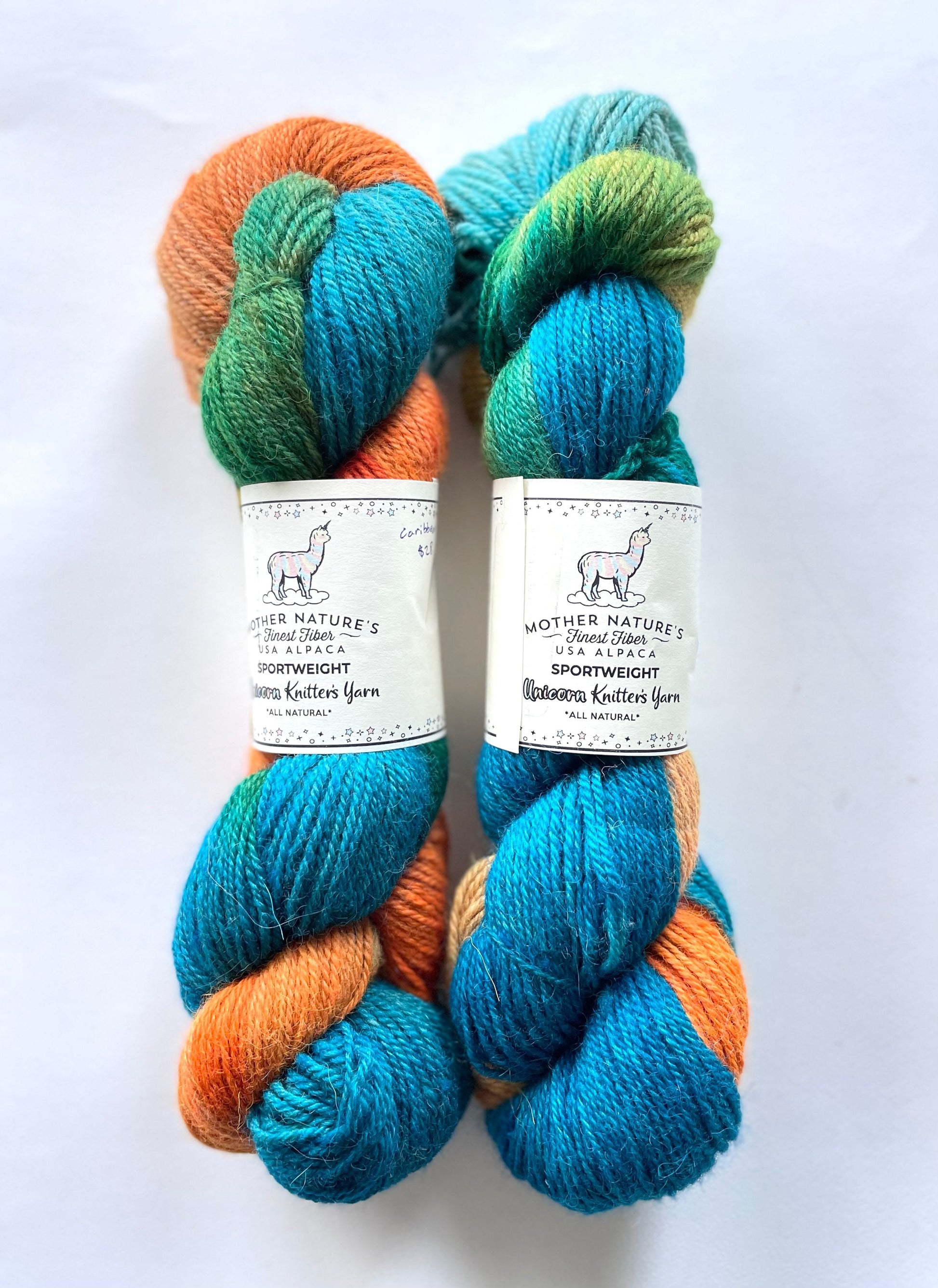 Darn Good Yarn: Sport Alpaca & Merino Hand Painted Yarn, 