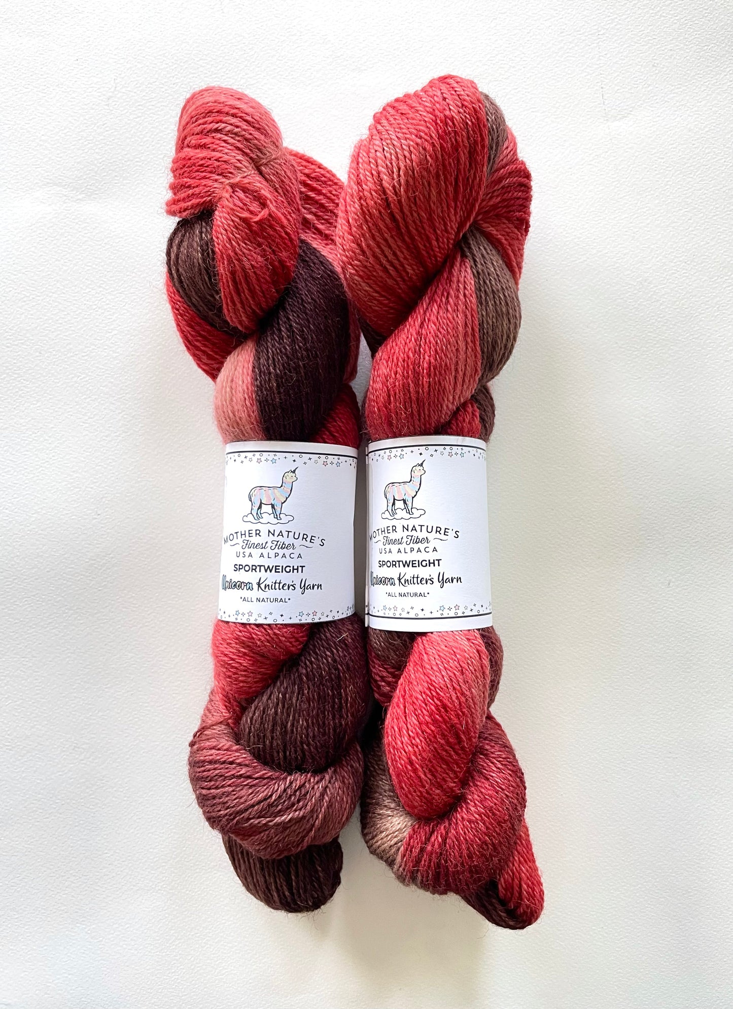 Darn Good Yarn: Sport Alpaca & Merino Hand Painted Yarn, 