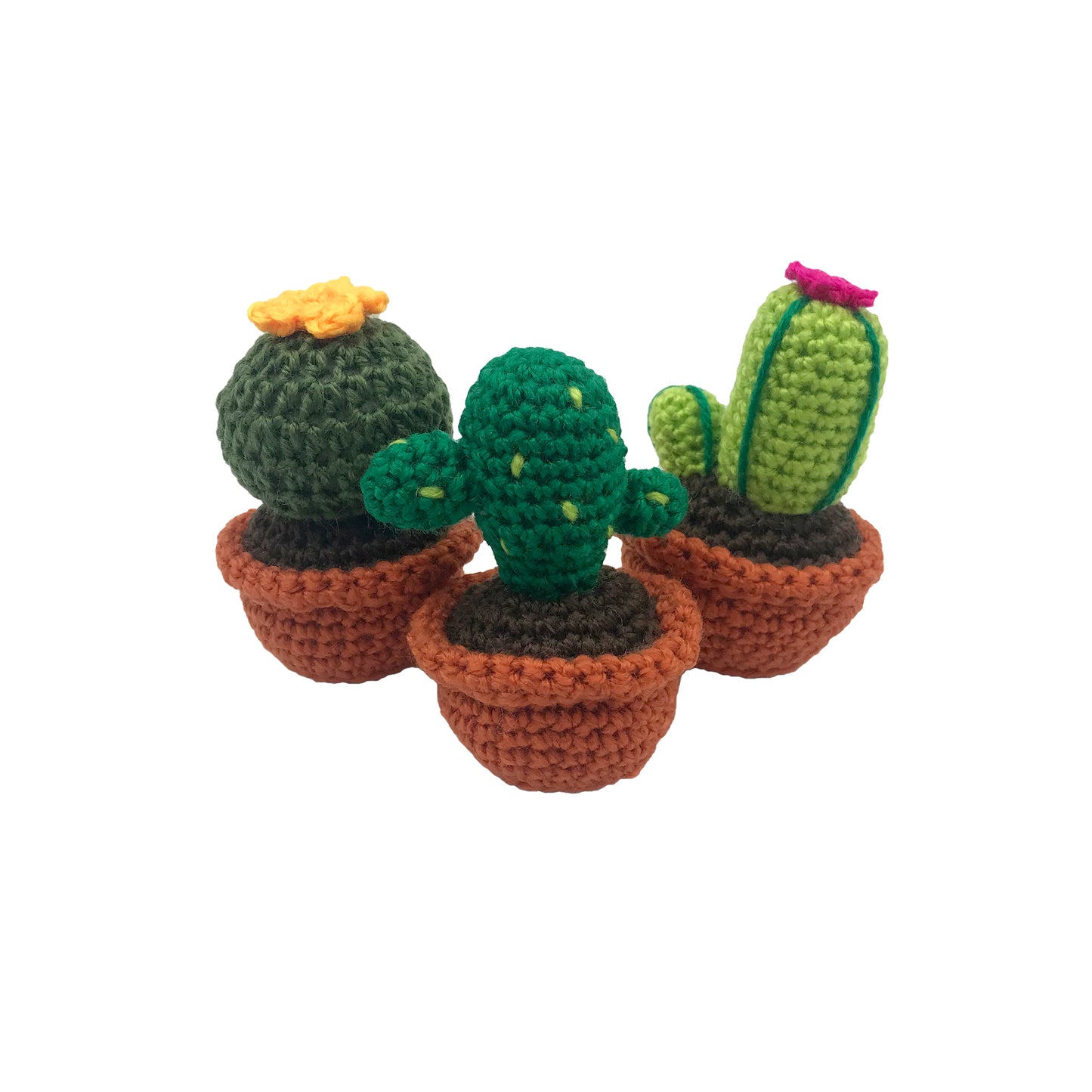 cactus animal kit 